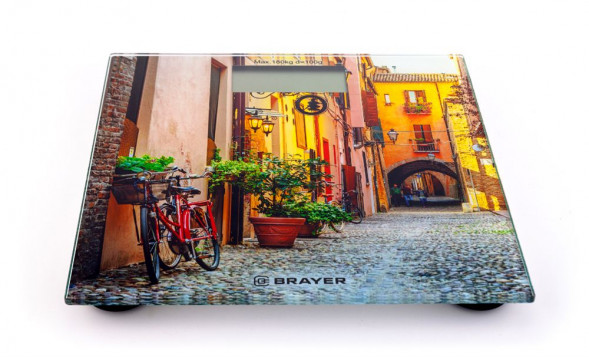 BRAYER BR3730
