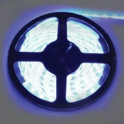 Лента светодиодная ECOLA P5LB05ESB 4,8W/m 12V IP65 8mm синяя 5м