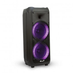 Акустика ELTRONIC 20-58 (DANCE BOX 500) - колонка 08