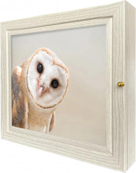 Ключница TOPPOSTERS AAA-637