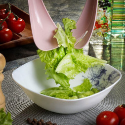 Салатник DANIKS BY13SFW90 Авиньон 20 см(341402)