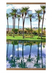 Обогреватель ДОМАШНИЙ ОЧАГ Пальмы Обогреватель настенный 500В