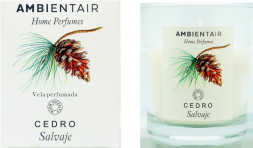 Свеча AMBIENTAIR ароматизированная в стакане VV001CSAP Дикий кедр Cedro