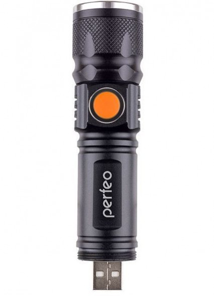 Cветодиодный фонарь PERFEO (PF_A4985) Regs PL-301