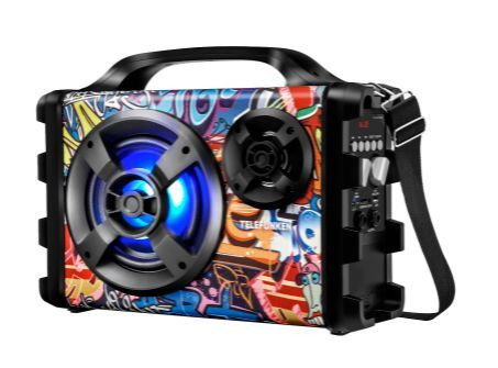 Акустика портативная TELEFUNKEN TF-PS1255B черный