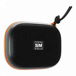 Портативная аудиосистема SOUNDMAX SM-PS5009B(черный)