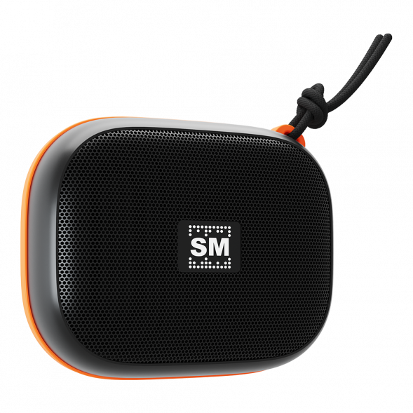 Портативная аудиосистема SOUNDMAX SM-PS5009B(черный)