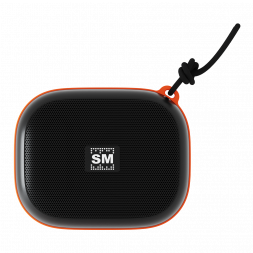 Портативная аудиосистема SOUNDMAX SM-PS5009B(черный)