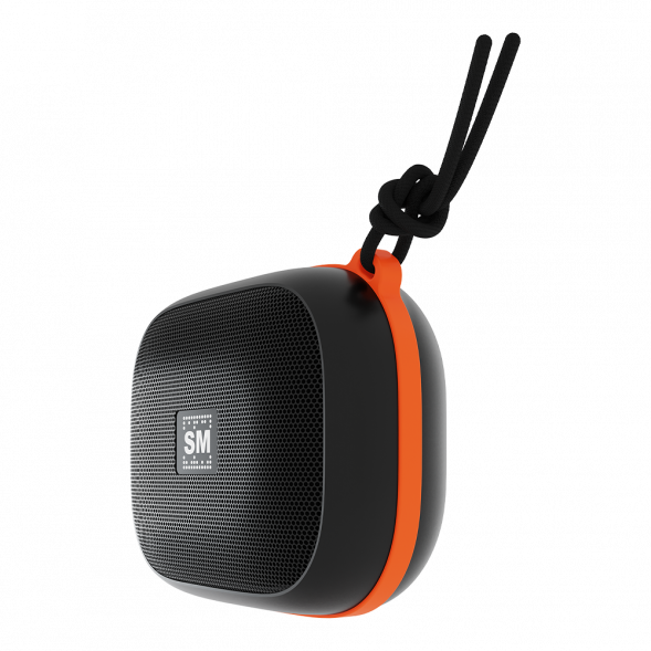 Портативная аудиосистема SOUNDMAX SM-PS5009B(черный)