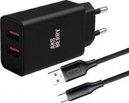 СЗУ AKSBERRY (6900209220015) T38 2 USB 2.4A + кабель MicroUSB, черный