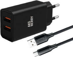 СЗУ AKSBERRY (6900209230014) T38 2 USB 2.4A + кабель Type C, черный
