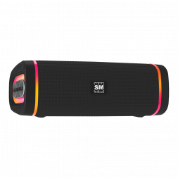 Портативная аудиосистема SOUNDMAX SM-PS5019B(черный)