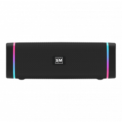 Портативная аудиосистема SOUNDMAX SM-PS5019B(черный)