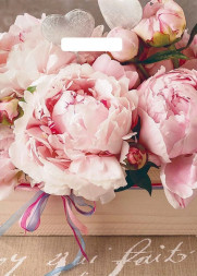 Пакет АРТПЛАСТ (ВУР49406) вырубная ручка 29х40 - Бенефис