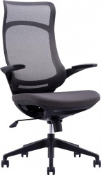 Кресло EVERPROF Spirit Сетка Черный