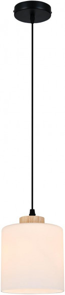 ESCADA 160002/A/1P E27*60W Black