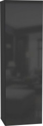Шкаф навесной НК-МЕБЕЛЬ POINT ТИП-20 шкаф навесной Чёрный/Черный глянец 71774435 НК-МЕБЕЛЬ POINT ТИП-20 шкаф навесной Чёрный/Черный глянец 71774435 (1 кор.)