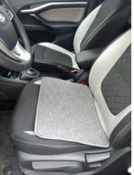 Электроподогреватель ТЕПЛОМАКС Электроподогреватель для автомобиля 45х35 см (4627155467258)