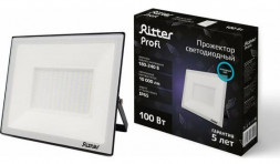 Прожектор светодиодный RITTER (53410 9) PROFI 100 Вт/6500К