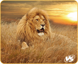 коврик VS (VS_A4808) &quot;Фауна&quot;, &quot;Лев&quot;