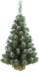 Ель MOROZCO Ель Альпийская заснеженная с шишками 1,0 м 5710