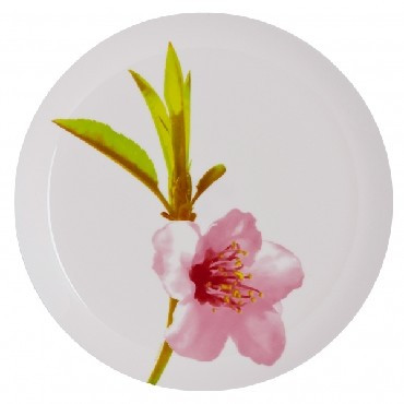 Посуда LUMINARC УОТЕР КОЛОР тарелка обеденная 25см (J4652)