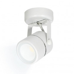 Светильники настенно-потолочные накладные RITTER 59962 3 Arton GU10