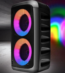 Акустика GiNZZU GM-916B