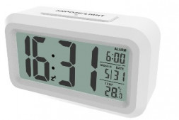 метеостанция RITMIX CAT-100 белый