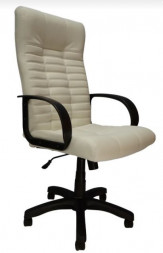 Кресло ЯРКРЕСЛА Кресло Кр26 ТГ ПЛАСТ ЭКО5 (экокожа белая)