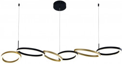 INDIGO 14034/C/6P Black (V000215L)