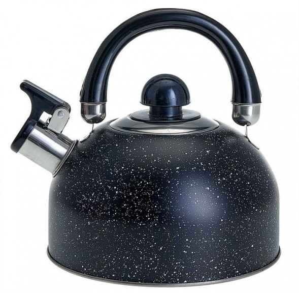 Чайник нерж со свистком WEBBER BE-0539 2,5л