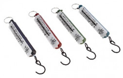 РЫЖИЙ КОТ БР-10 безмен 10 кг столбик (004381)