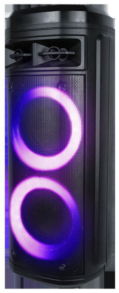 Акустика портативная TELEFUNKEN TF-MS3302B(черный)