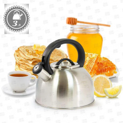 Чайник МЕРАЛИ ЧН -30-10 серебристый