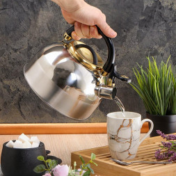 Чайник DANIKS M-001PM (378480) 2.7 л