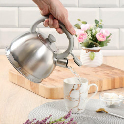 Чайник DANIKS M-006 (378481) 2 л