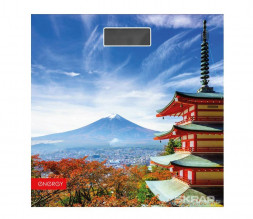 Весы ENERGY EN-419H