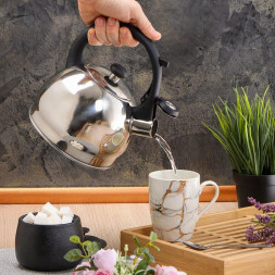 Чайник DANIKS M-081 (378486) 2 л