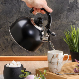 Чайник DANIKS GS-04001 (355352) 2.5 л