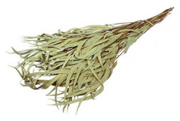 Банные принадлежности HOT POT 34152 Веник эвкалиптовый "Hot Pot" в уп. /50