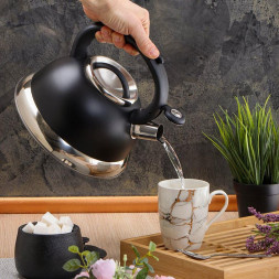 Чайник DANIKS GS-04017 (355353) 2.5 л