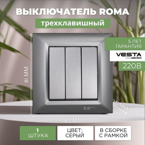Выключатель VESTA-ELECTRIC (FVK010123SRM) Roma ,серый