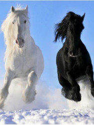 Электрообогреватель ДЫХАНИЕ ТЕПЛА Электрообогреватель бытовой настенный (рис. Пегас) Артикул 19с425