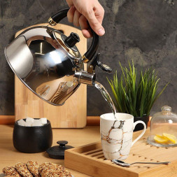 Чайник DANIKS M-001 (291956) 2.7 л