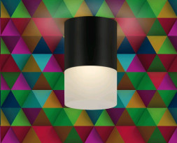 Потолочный светильник RITTER 52062 7 RCS-80MR16-BL D=80мм, черный/матовое