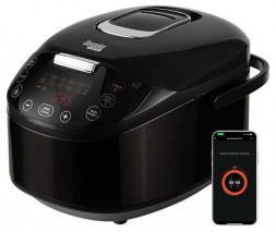 Мультиварка RED SOLUTION SKYCOOKER RMC-M800S