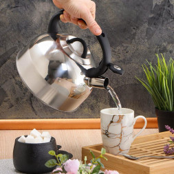 Чайник DANIKS MSY-075PM (378482) 3 л