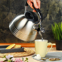 Чайник DANIKS PR-2201 (429626) 2.7 л