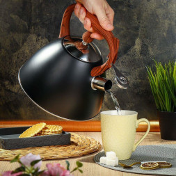 Чайник DANIKS PR-2204 (429629) 2.7 л